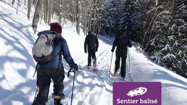 Boucle de Morsullaz - Randonnée hivernale