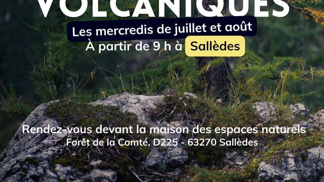Balades volcaniques en forêt de la Comté