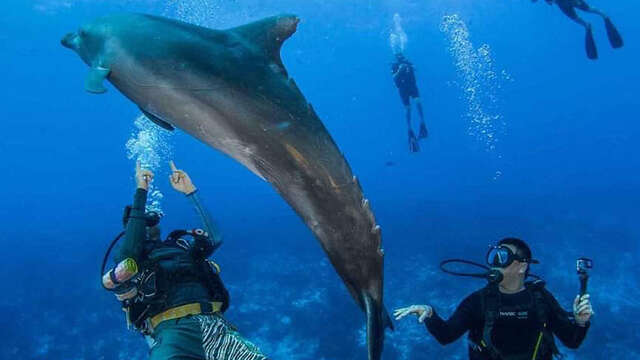 Rangiroa Diving Center