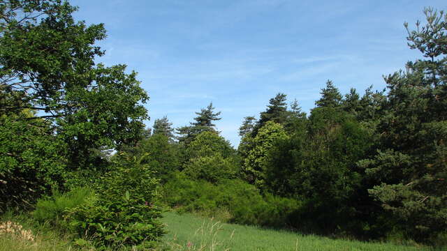 Le sentier de Biesse - PR 12