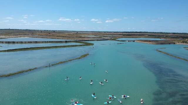 Remar por la reserva natural y salida en barco desde Île de Ré Nautisme
