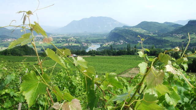 Compostelle Savoie - Etape 2 - De Chanaz à Yenne
