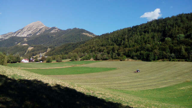 L'agriculture du Champsaur