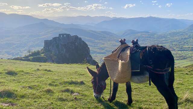Escap'Ânes - Roquefixade