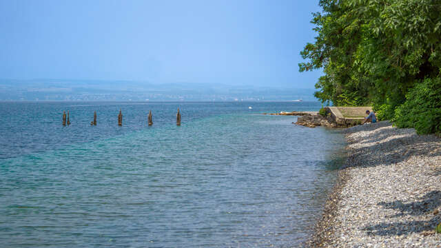 Plage de la Pinède