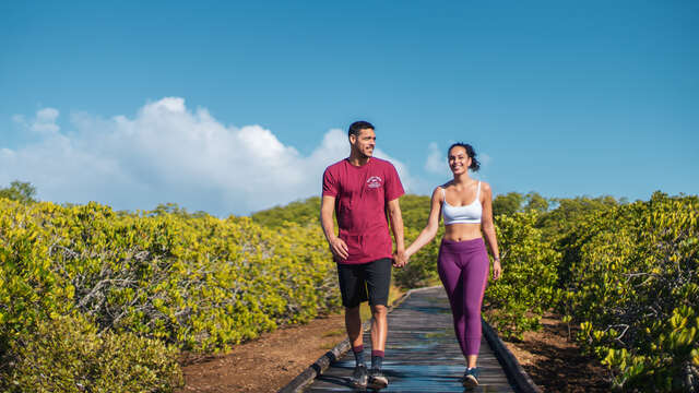Parcours de la mangrove de Ouémo