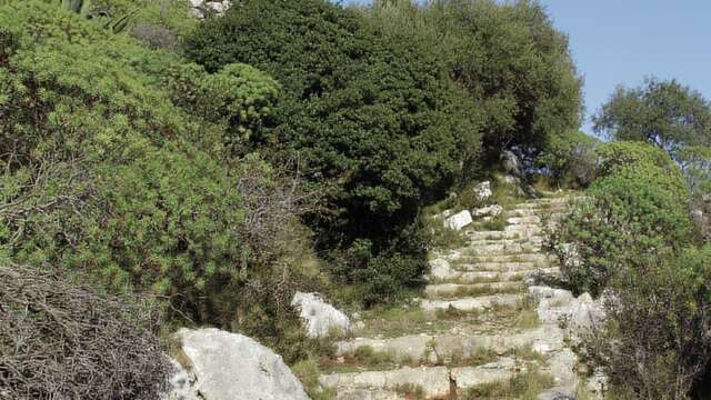 L'Oppidum du Mont des Mules