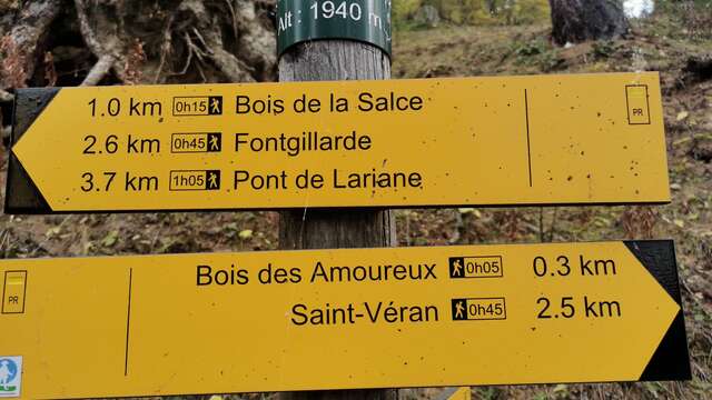 Le Bois des Amoureux
