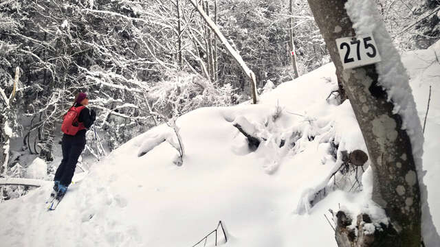 Parcours de ski de randonnée