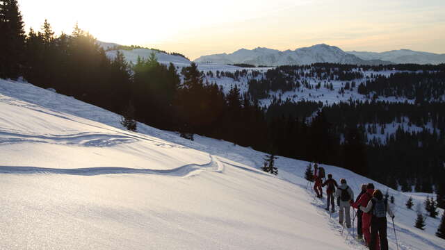 Nocturne sur les traces du Dahu