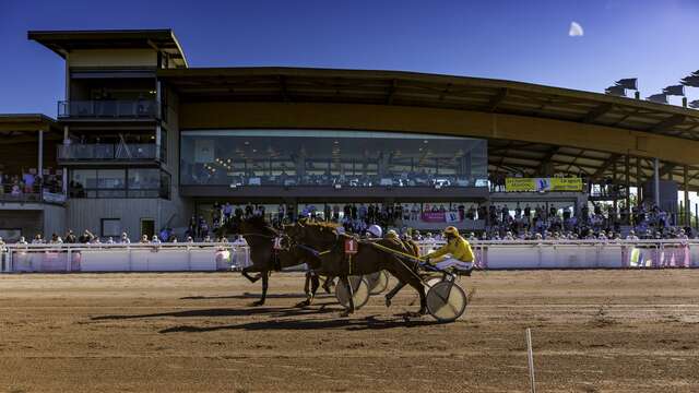 Courses à l'hippodrome