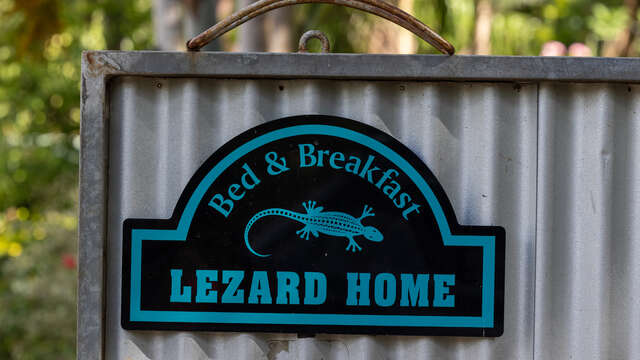 Lezard Home