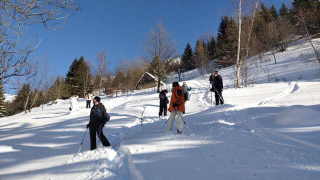 Sneeuwschoenwandelen - L'Olmet op het spoor van de berghaas