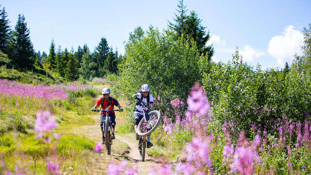 Enduro MTB - La Charette