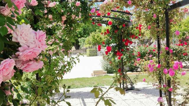 Rose - Gîte en Provence