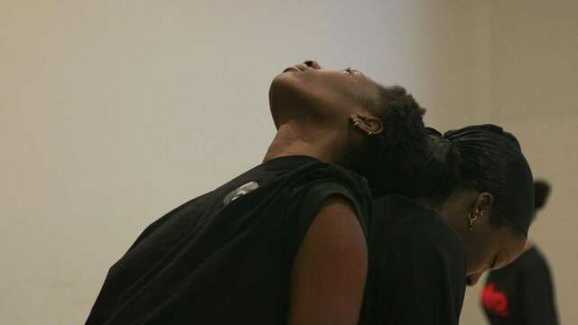 Exposition «Songs from the distorted south»