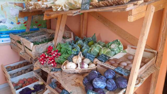 Du jardin à l'assiette