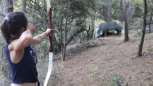 Tir à l'arc, parcours nature