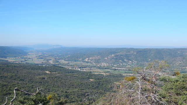 Plateau de Saint-Jurs