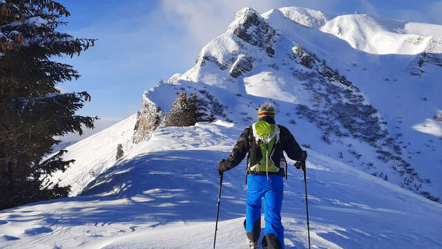 Ski de randonnée