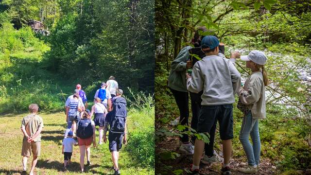 Animation découverte de la forêt