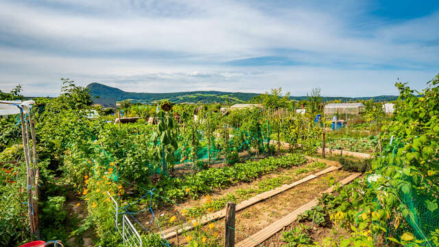Atelier pratique : Faire son jardin de A à Z, la biodiversité du jardin