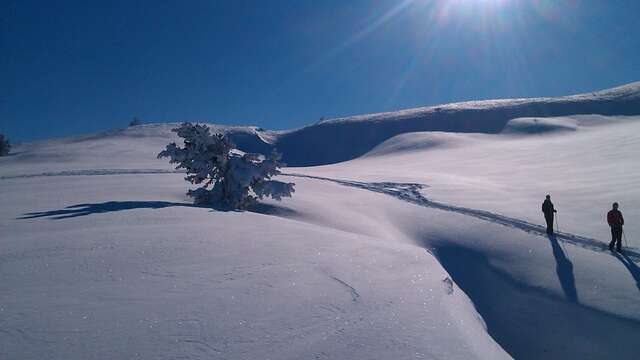 Raquettes Eric Fossard - Guide de Haute Montagne