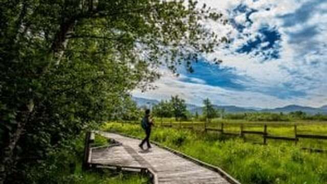 Visite guidée de la Réserve Naturelle du Marais de Lavours