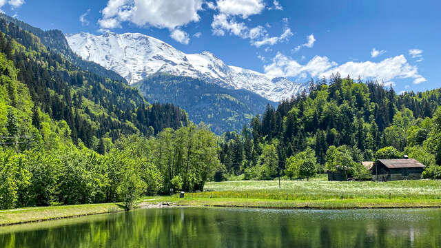 Lac de pêche du Vivier
