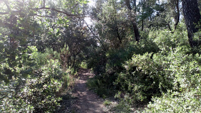 Circuit des Collines