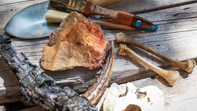 Visite enfant à  l'Abri sous roche