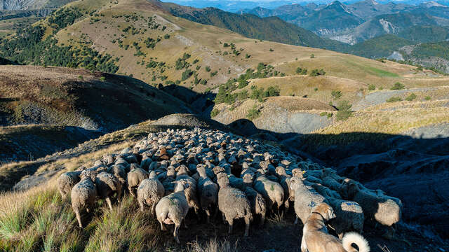 Massif des Monges