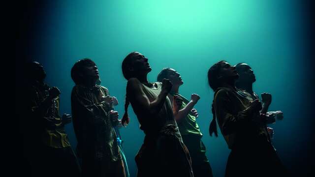 Danse : In the brain - hofesh shechter / shechter ii