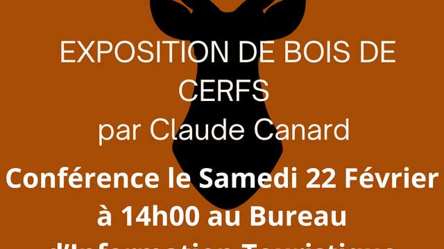 Exposition " Bois de cerfs "