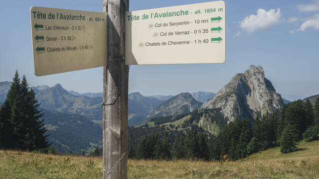 La Tête de l'Avalanche summit