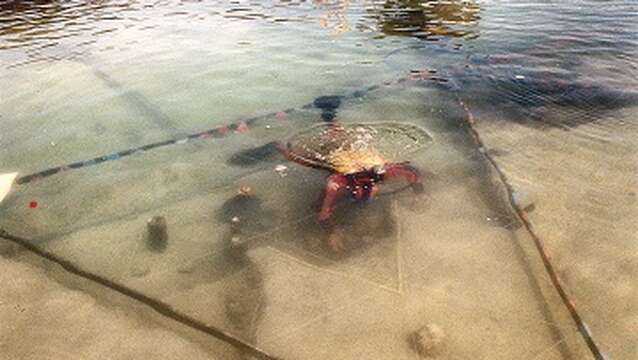Visite guidée : les techniques de fouilles à Paladru