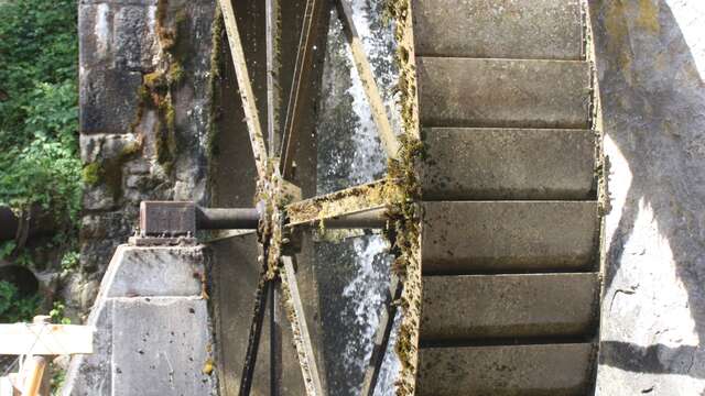 Visite du Moulin Morand