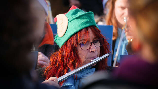 Concert « Les petits lutins musiciens »