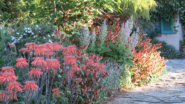 Jardin de la Villa Fort France