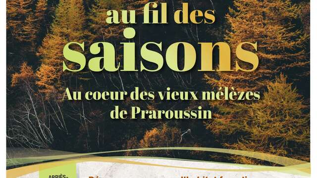 Sortie Parc - La forêt au fil des saisons