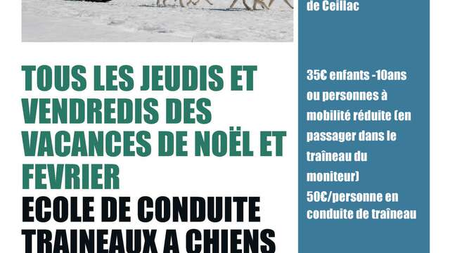 Balade en traineaux à chiens