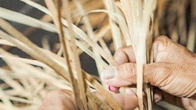 Atelier de confection d'un pot de fleurs en pandanus