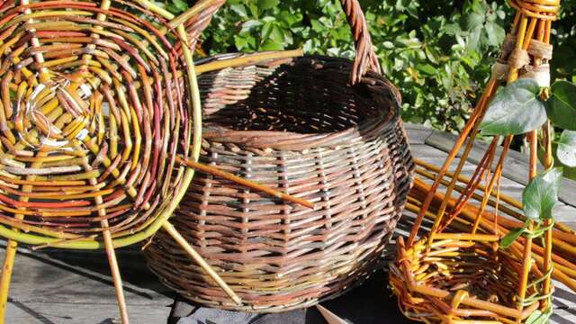Vannerie sauvage : ethnobotanique