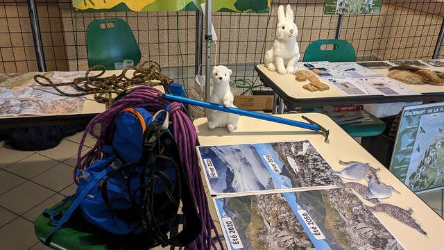 Atelier : Fonctionnement des glaciers