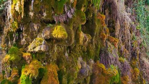 Le Grand Tuf de Maliver