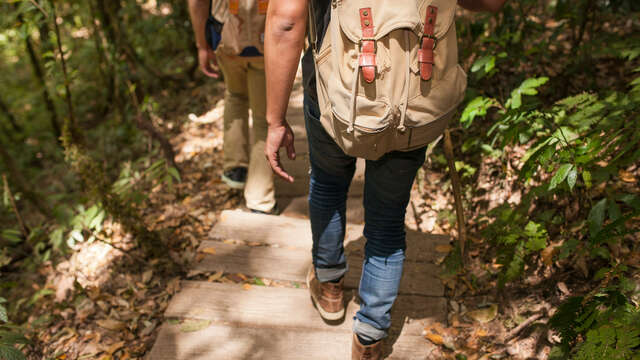 Rando douce à Velleron : Ravin de la Pouyaque