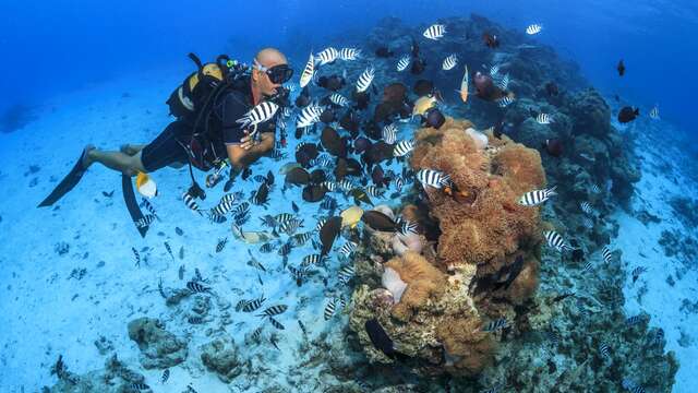 Activiseas Tahiti