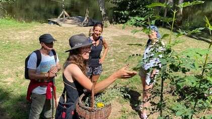 Découverte des plantes sauvages