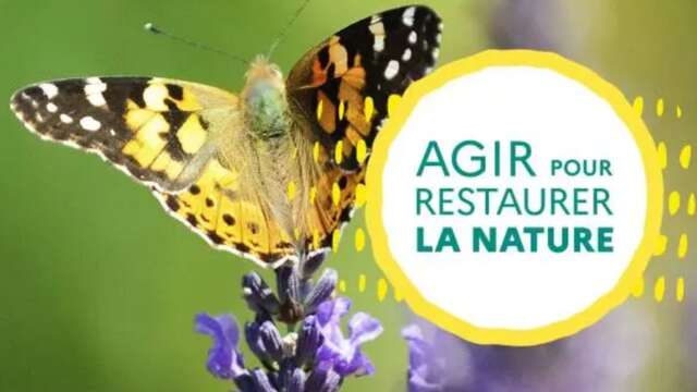 Atelier de concertation citoyenne : restaurer la nature