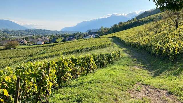 Apéro'Vignes au Château de Mérande